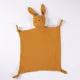Mustard Cat