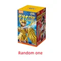 GV01 Random 1 box