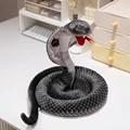 black YDYJS