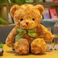B 30cm Brown Bear