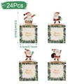 24pcs