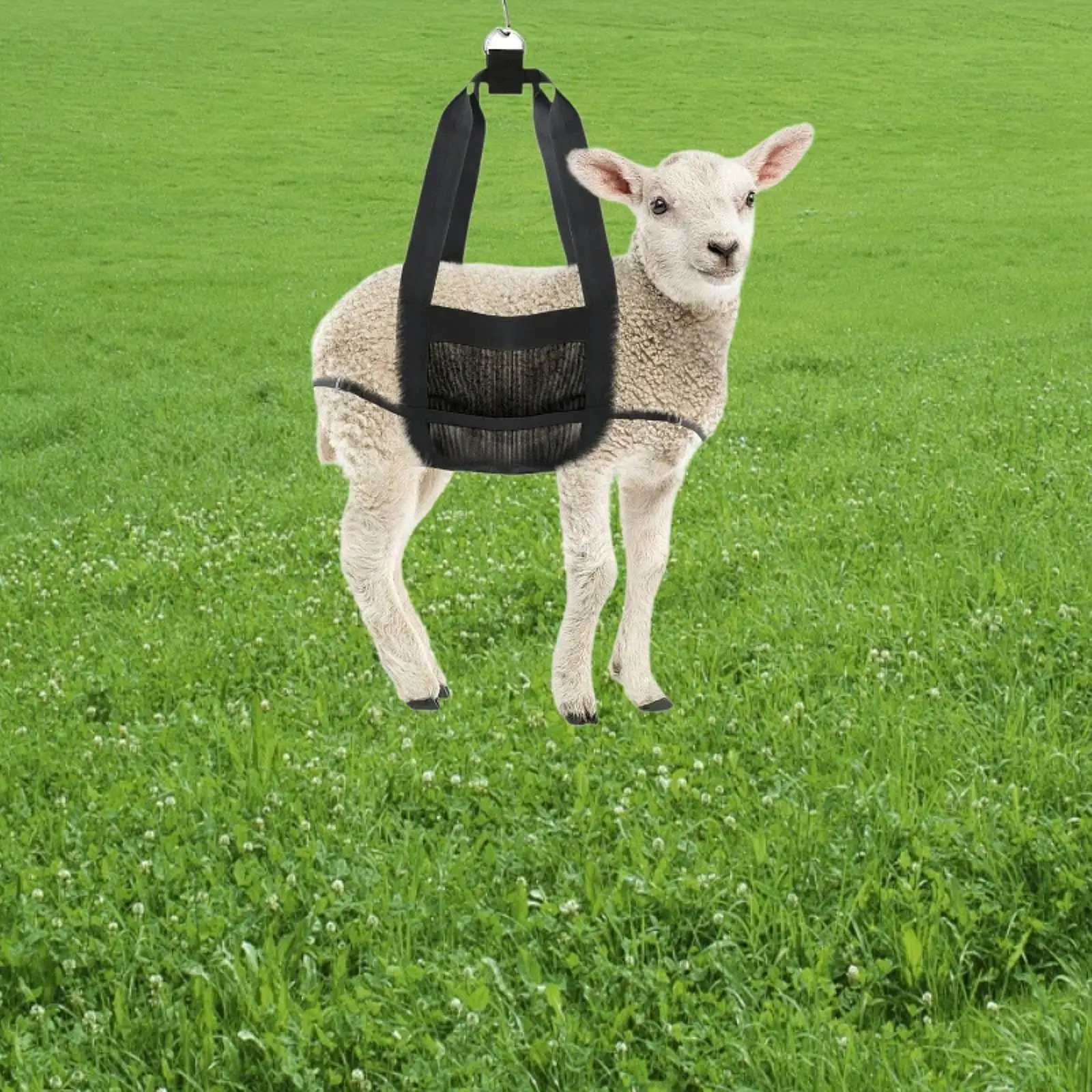 Calf Sling for Weighing Animals Livestock Sling Livestock Weighing Strap Hanging Scale Sling for Pigs Dogs Small Alpacas Sheep Calf Sling for Weighing Animals Livestock Sling Livestock Weighing Strap Hanging Scale Sling for Pigs Dogs Small Alpacas Sheep