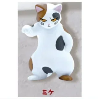 calico cat