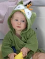Green owl