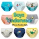2pcs Random Briefs