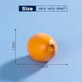 10Pcs Loquat