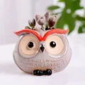 Owl F