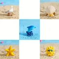 5pcs B