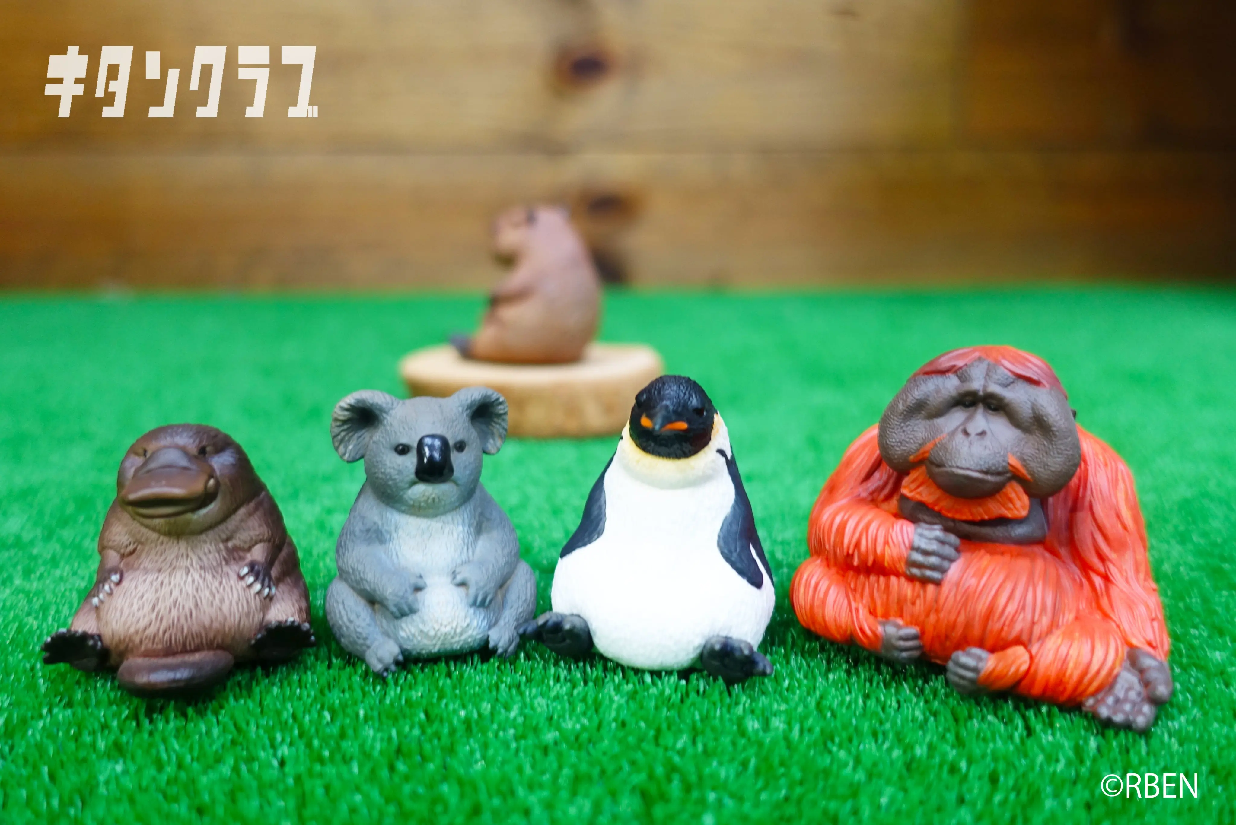 Kitan cápsula de juguete RBEN STUDIO figura Animal mascota Part.4 kawaii sentado graso orangutanes Platypus pingüino koala gashapon figura - imagen 4