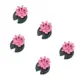 lotus flower