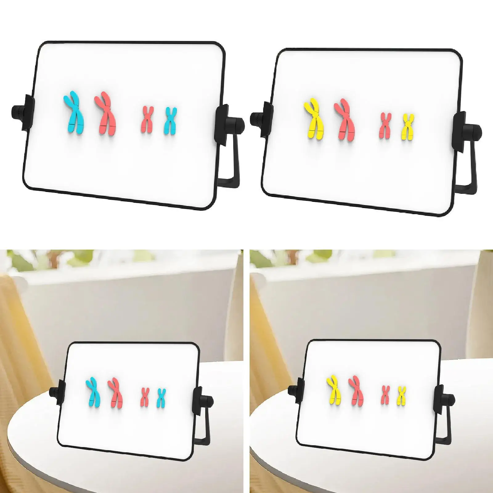 Meiosis Chromosome Change Model Kit Practical Educational Learning Tool
