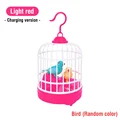 light red recharge