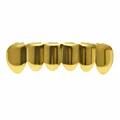 Gold  Bottom  