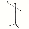 standard version