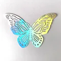 C Colorful Silver