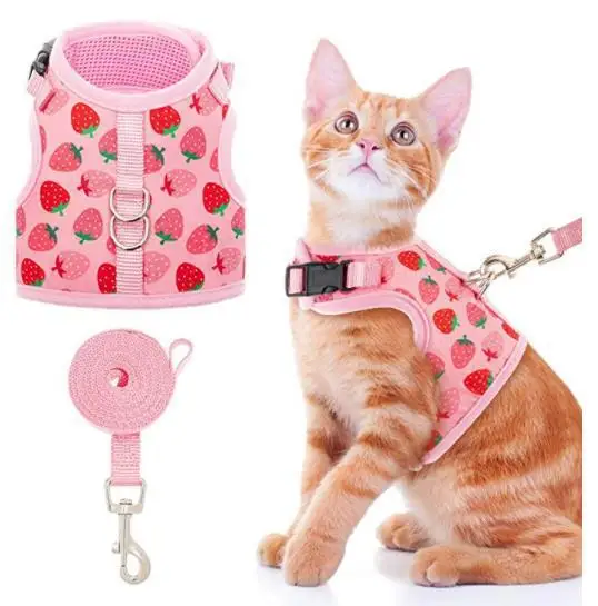 pink strawberry