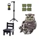 Owl B