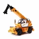 Yellow Crane