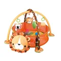 Lion with18balls