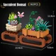succulent