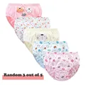 3 Pcs-009