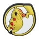 pokemon 23