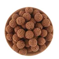 20Pcs Camel