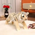 tiger HB
