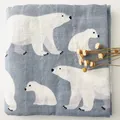 Polar bear