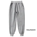 1835 Gray Autumn