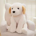 Labrador