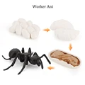Worker Ant