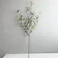 113cm-44.49in