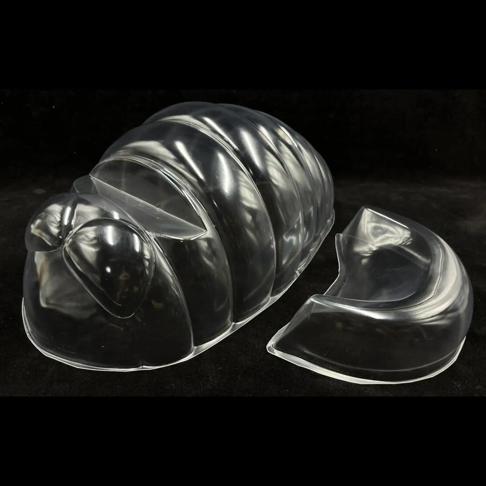 Diseño transparente - Vista interna