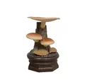 shiitake
