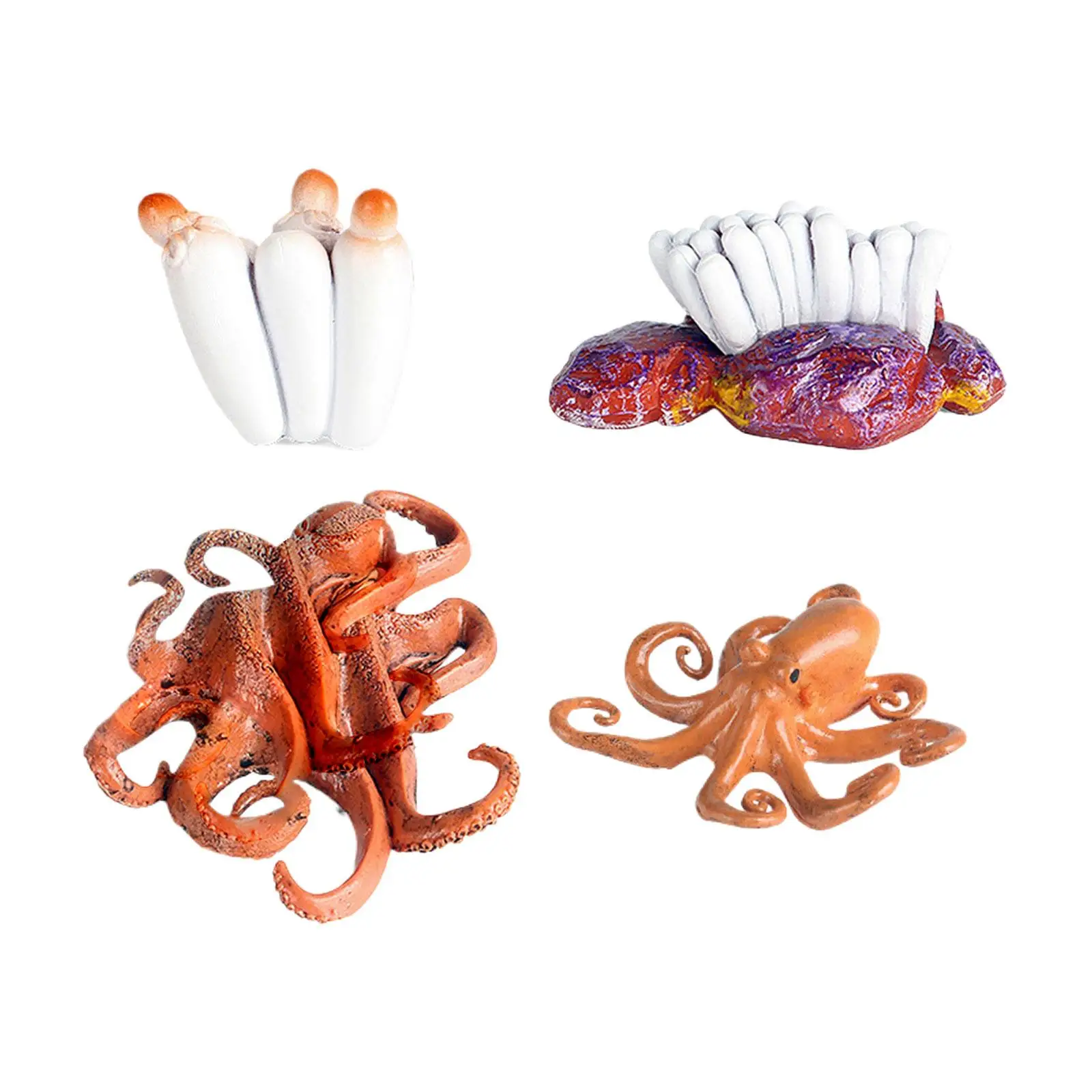 Octopus Life Cycle Set Animal Growth Cycle Simulation Preschool Educational for Children Birthday Gifts Ages 3 4 5 6 Years