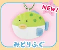 green blowfish