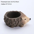hedgehog