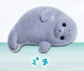 Sesame purple blue