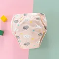 New Pink Cloud