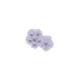 purple-C
