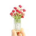 red-jasmine