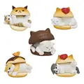 5PCS