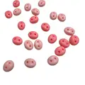 100pcs mixed color