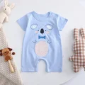 blue koala