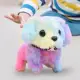 violet puppy
