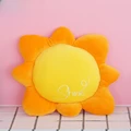 the sun