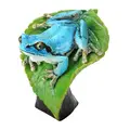 tree frog blue