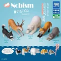 P4 A Set of 5