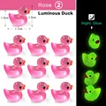 Luminous Duck-Rose
